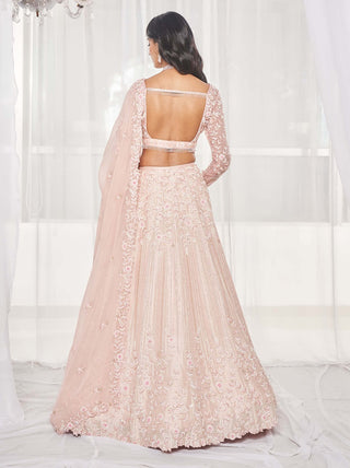 Light pink embellished lehenga set