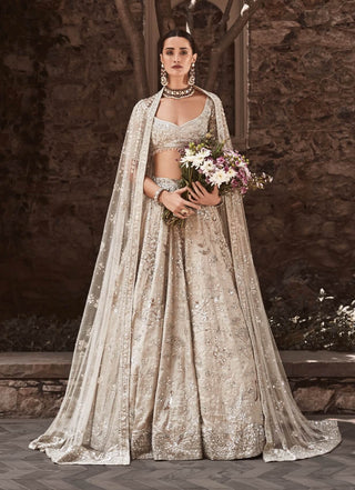 Beige silver needle winged glory lehenga set