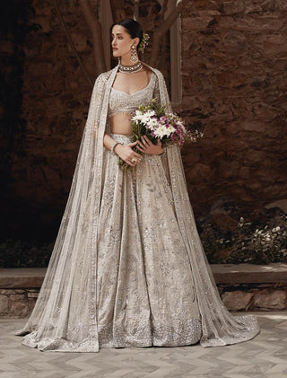 Beige silver needle winged glory lehenga set