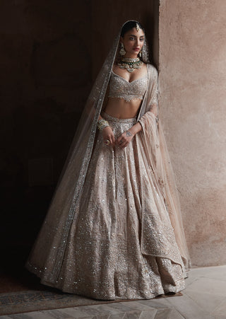 Tarnished peach masai landscape lehenga set