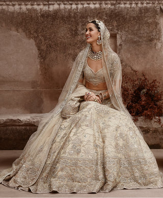 Beige aurum udaibagh lehenga set