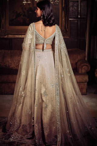 Beige silver needle tree of life lost in time lehenga