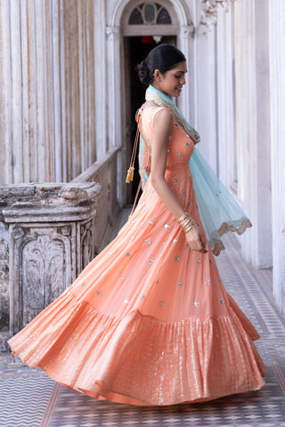 Tangerine anarkali gown set