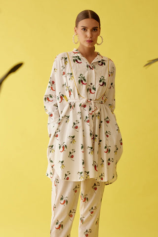 Off-white chilli print shirt dress