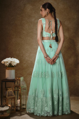 Mint & Blush pink lehenga set