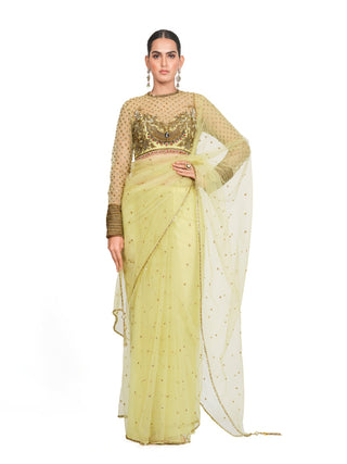 Light yellow embroidery saree set