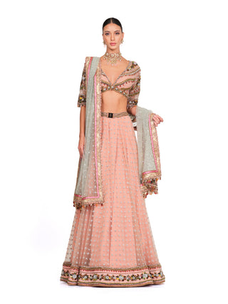 Baby pink embroidered lehenga set