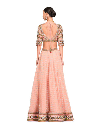 Baby pink embroidered lehenga set