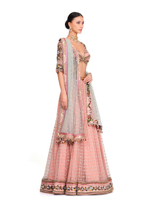 Baby pink embroidered lehenga set