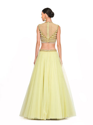 Lime yellow embroidered lehenga set