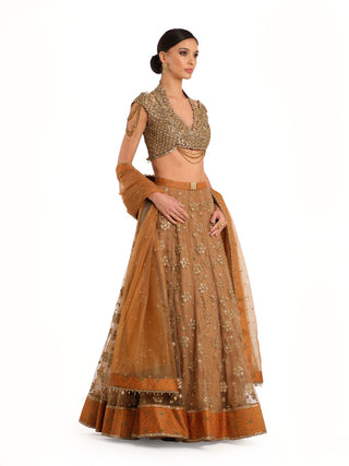 Rust orange tissue lehenga set