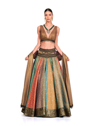 Brown multicolor lehenga set