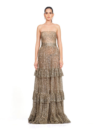 Silver embroidered tube gown