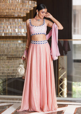 Ruhi pink lehenga set