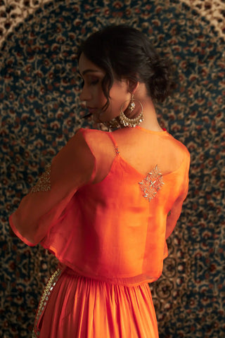 Saffron embroidered sheer top and trouser set