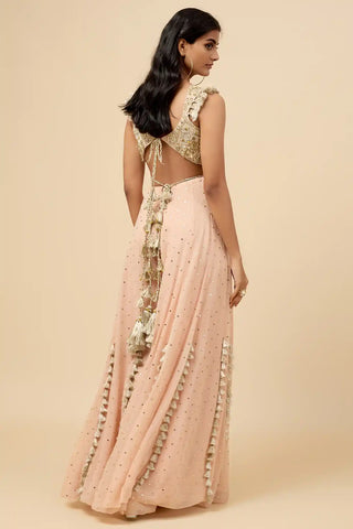 Blush pink embroidered back tie-up choli and sharara set