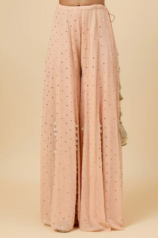 Blush pink embroidered back tie-up choli and sharara set