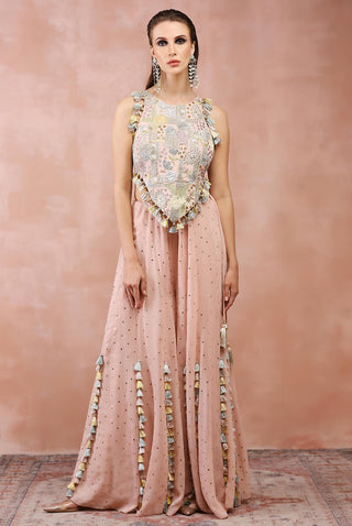 Rose pink embroidered choli and sharara