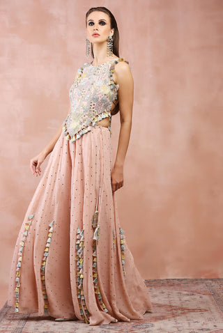 Rose pink embroidered choli and sharara