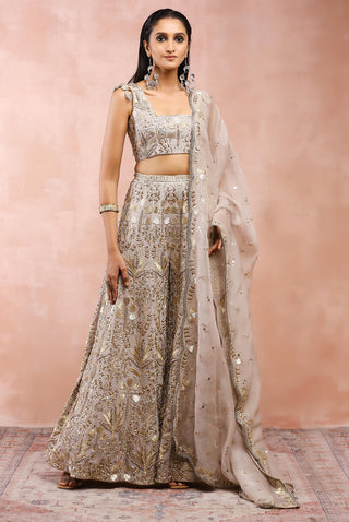 Gray bagh embroidered sharara set