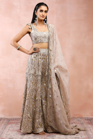 Gray bagh embroidered sharara set