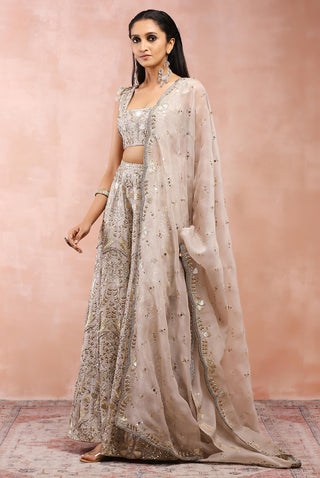 Gray bagh embroidered sharara set