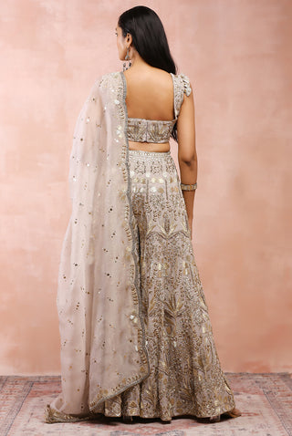 Gray bagh embroidered sharara set