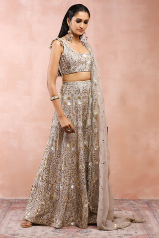 Gray bagh embroidered sharara set