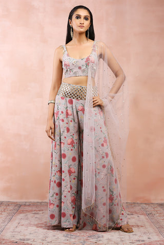 Gray gulbagh print embroidered sharara set