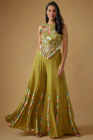 Olive green embroidered back tie-up choli and sharara