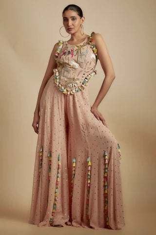 Rose pink embroidered back tie-up choli and sharara