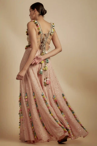 Rose pink embroidered back tie-up choli and sharara