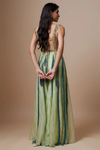 Mint embroidered bustier and organza sharara