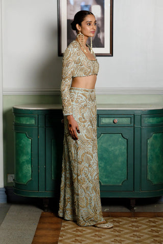 Mint green embroidered choli and skirt