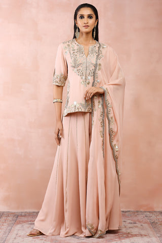 Rose pink bagh kurta and sharara set