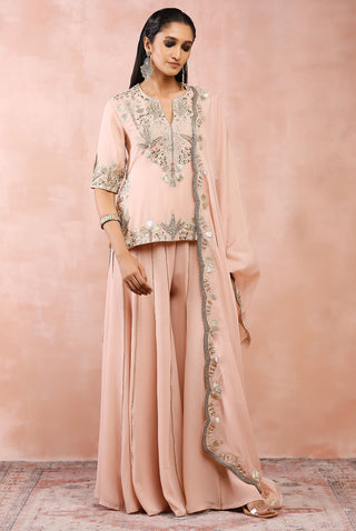 Rose pink bagh kurta and sharara set