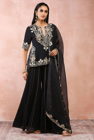 Black bagh embroidered kurta and sharara set