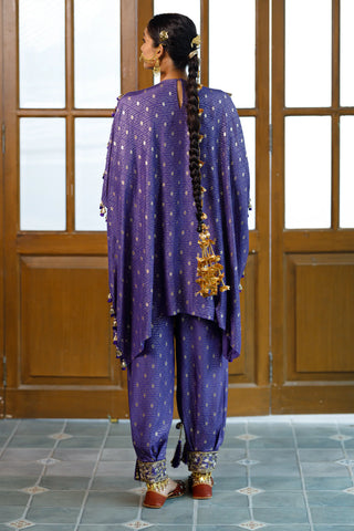 Purple embroidered kaftan and salwar