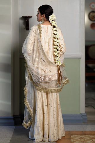 Beige mukaish embroidered kurta and sharara with net dupatta