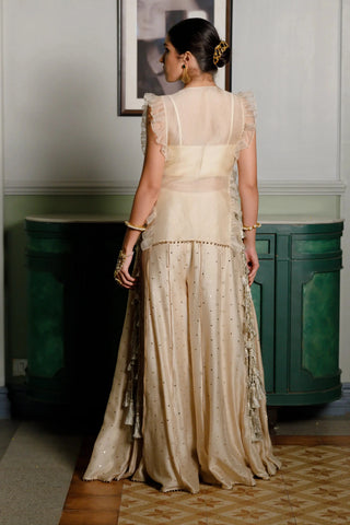 Beige stone embroidered long bib yoke with bustier and sharara