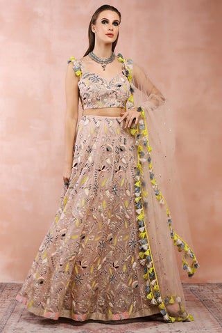 Rose pink embroidered lehenga set