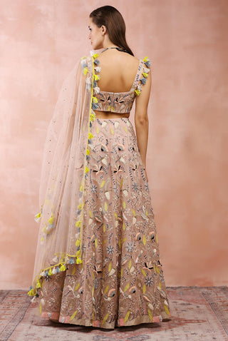 Rose pink embroidered lehenga set