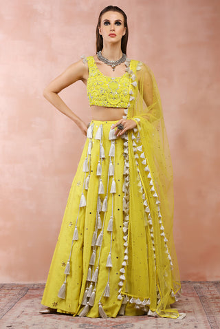 Yellow embroidered tasselled lehenga set