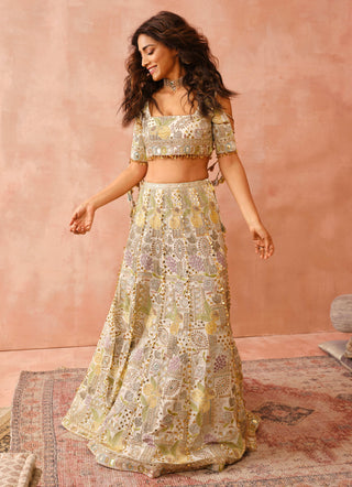 Offwhite embroidered choli and lehenga with dupatta