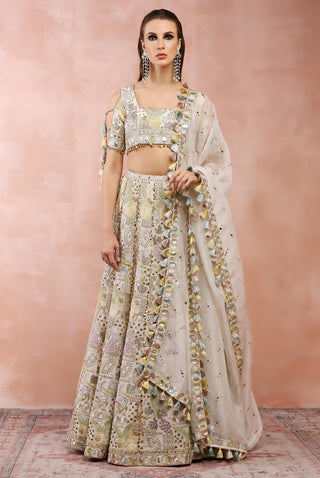 Offwhite embroidered choli and lehenga with dupatta