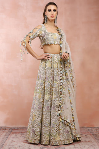 Offwhite embroidered choli and lehenga with dupatta