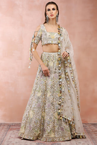 Offwhite embroidered choli and lehenga with dupatta