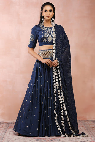 Navy embroidered silkmul lehenga set