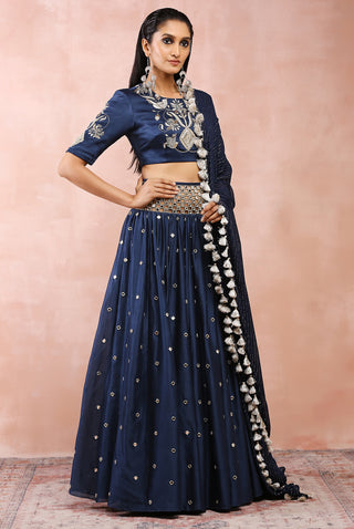 Navy embroidered silkmul lehenga set