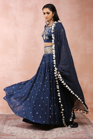 Navy embroidered silkmul lehenga set